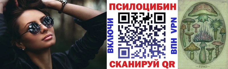 Галлюциногенные грибы Psilocybine cubensis  как найти закладки  Катайск 
